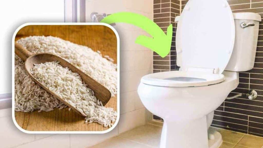 solution-remarquablement-efficace-pour-parfumer-la-salle-de-bain-il-suffit-de-mettre-une-poignee-de-riz-cru-dans-les-toilettes