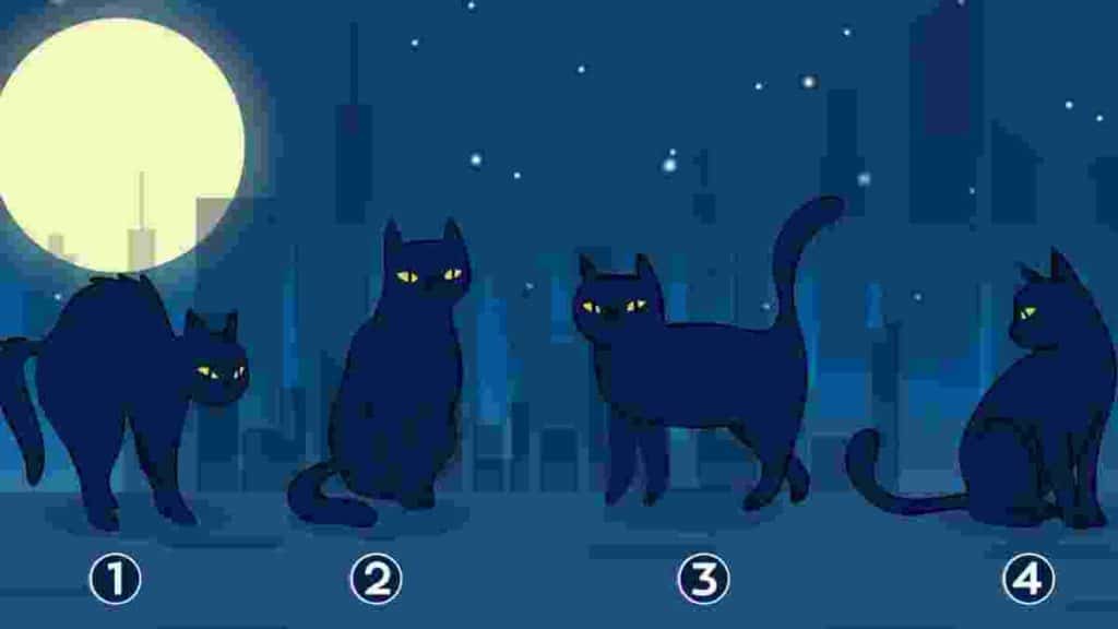 test-de-personnalite-decouvrez-votre-objectif-de-vie-en-choisissant-lun-de-ces-4-mysterieux-chats