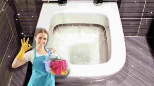 astuces-pour-nettoyer-efficacement-les-toilettes-et-les-rendre-comme-neuves