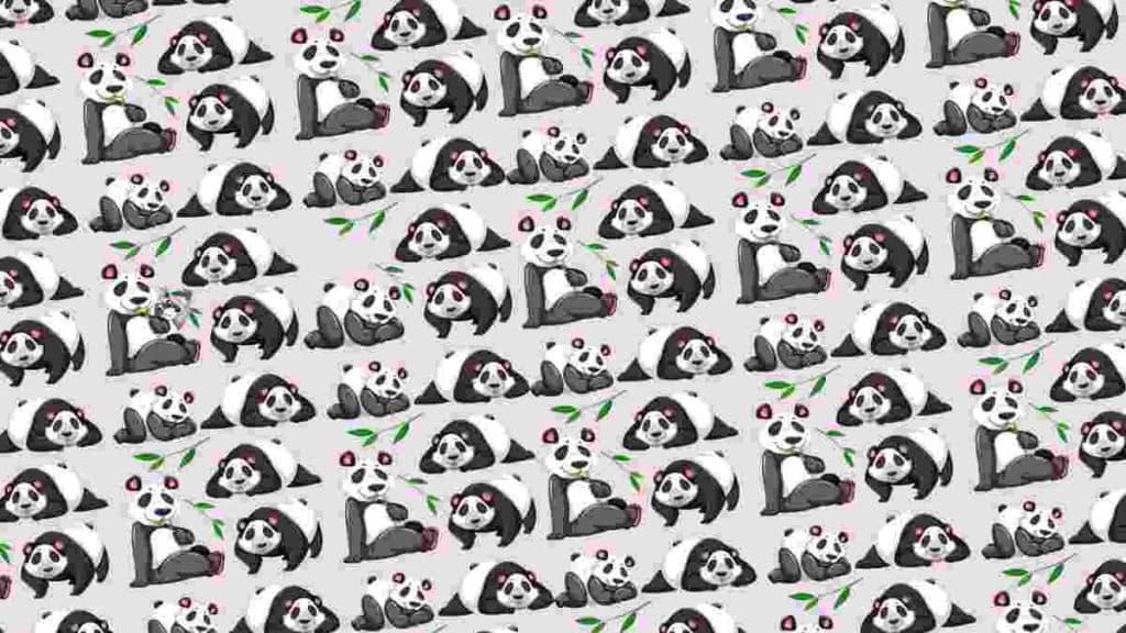 enigme-du-jour-localiser-lintrus-parmi-les-pandas-sur-ce-test-visuel-en-moins-de-30-secondes