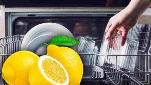 le-citron-au-lave-vaisselle-pour-avoir-un-parfum-et-un-bon-nettoyage-comment-le-positionner