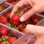 voici-la-meilleure-methode-pour-conserver-les-fraises-plus-longtemps-au-refrigerateur