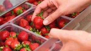 voici-la-meilleure-methode-pour-conserver-les-fraises-plus-longtemps-au-refrigerateur