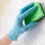 nettoyer-et-desinfecter-les-murs-cette-solution-a-base-deau-et-dun-ingredient-courant-fait-des-miracles