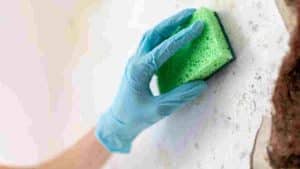 nettoyer-et-desinfecter-les-murs-cette-solution-a-base-deau-et-dun-ingredient-courant-fait-des-miracles