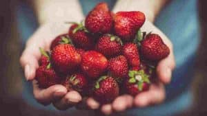 voici-comment-eliminer-les-pesticides-des-fraises-avec-des-ingredients-naturels