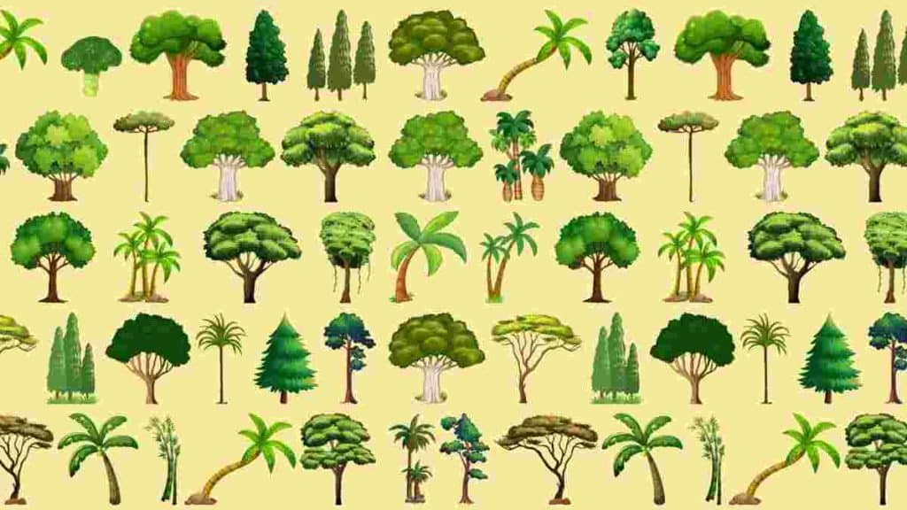 defiez-votre-sens-du-detail-pour-identifier-lelement-etranger-cache-parmi-les-arbres